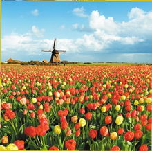 2012年旅游行業關鍵詞 玩得個性化最關鍵