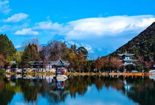 黑龍江省濕地旅游產(chǎn)品開發(fā)的機(jī)遇、挑戰(zhàn)與路徑分析