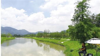 從昔日洼地到今日景區(qū) 村企抱團(tuán)，繪就旅游開(kāi)發(fā)新畫(huà)卷